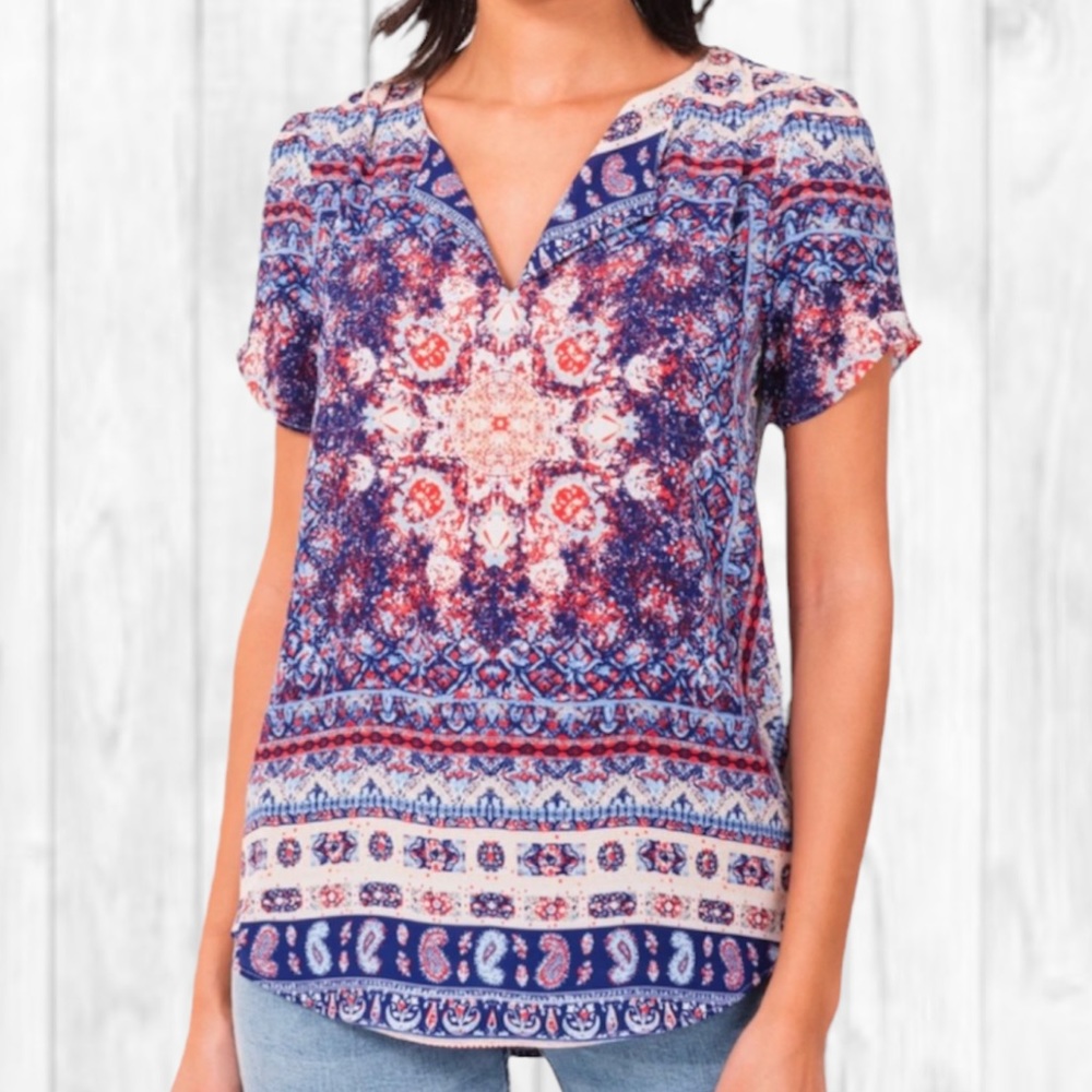 Daniel Rainn DR2 Pastel VNeck Floral Print Short Sleeve Top (S)